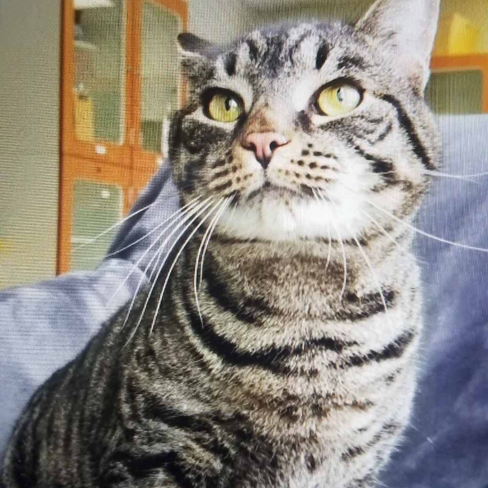 Meet your Posher, Christine